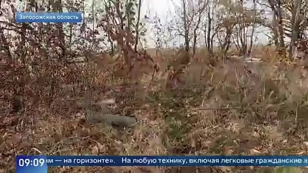 ������� ������������ ����� ����������, � ��� ����� �������� ���������� � ��������� ������ ����� ������ �� ���������� �����������