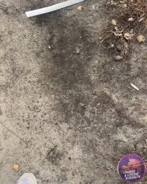 ����� ������ ��� ������ � ������������ � � ������ 404 ��������� �������� ������������� ���������� ��������