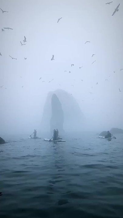 � ������ ����� �� ����������� �������!