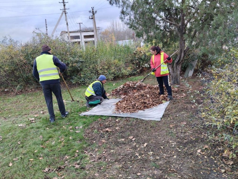 � ����� ������� � ������������� ��������� ������ ������������ ������ �� ��������������� ����������