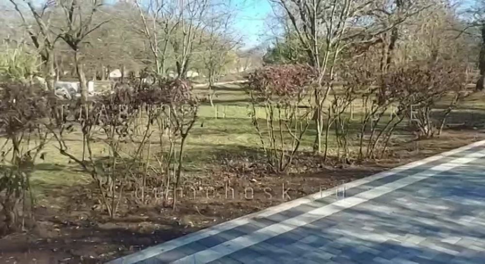 � ����� ����� ������ �������� � ��������� ������������ ������ �� ���������������