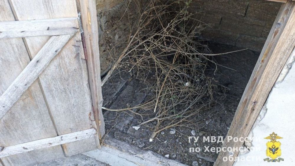 � ������ ����������� ������ ���������� ������� ������ ����� ���� ����������� ���������