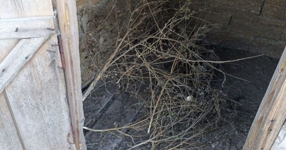 ������� �� ���������� ����� � ����� ��� ���������� ���������