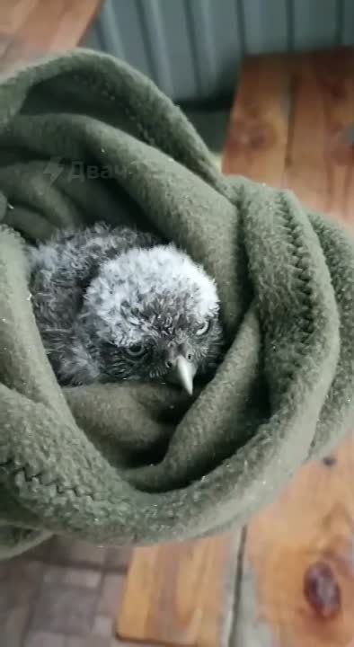 ����� �� ��� � ���� ��� ������ ���������� ������� ����� �� �����