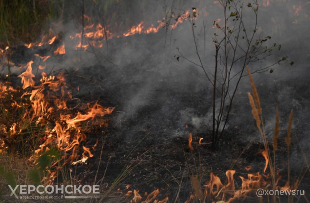 � ������ �������� ����� �� ������������� ������������� � ����� �������� ������