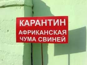 ����������� ���� ������ (���)