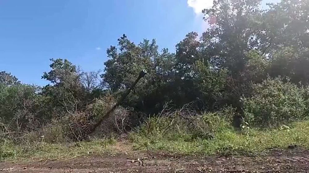 � ������� ������ �� �� �������� 11 ��������� ������ ������������ ������� � ���� �� ������� ����������� ��������������...