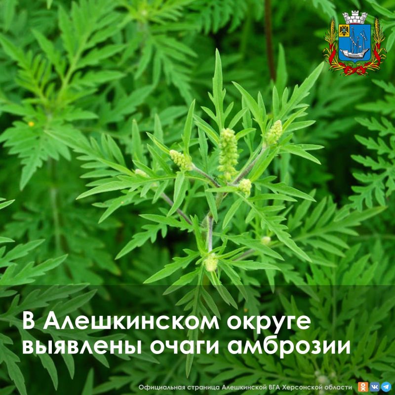 � ����������� ������ ������� � ��������������� ����������