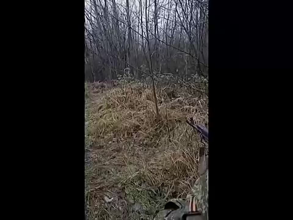 "�� ��� ��� ������, ����������?"