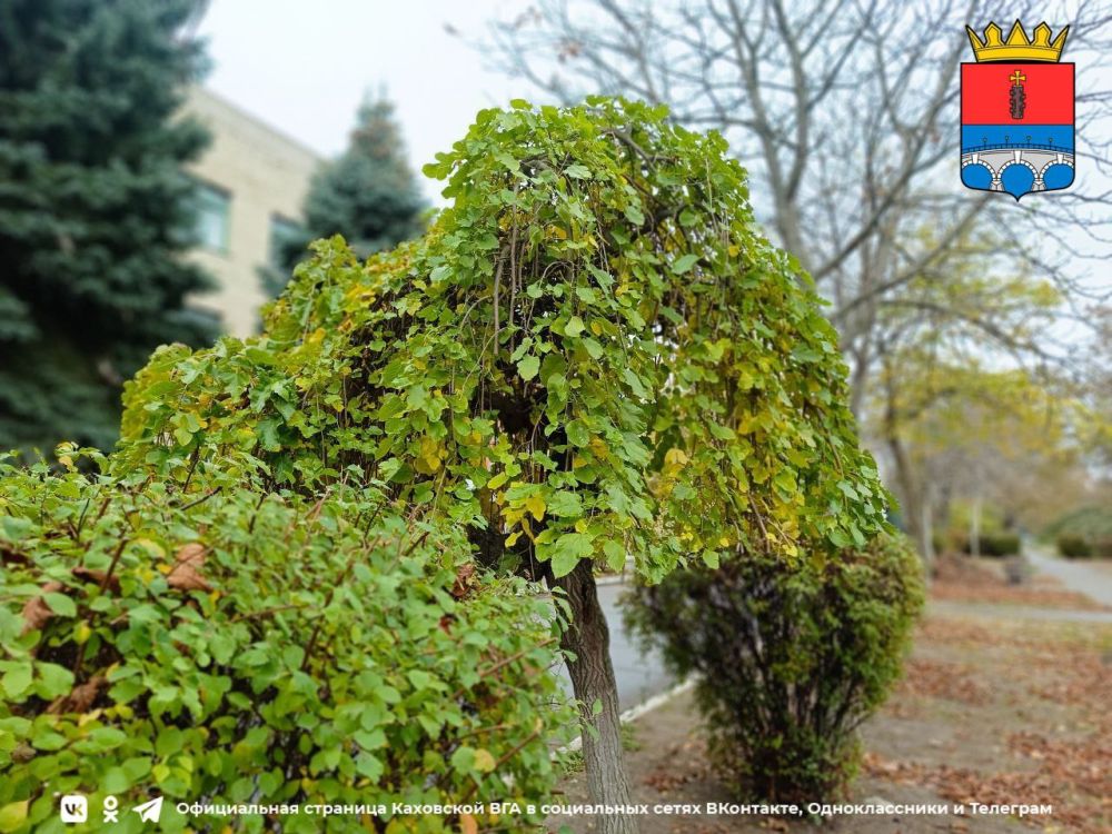 ������ ����, �������!. @VGA_Kakhovka