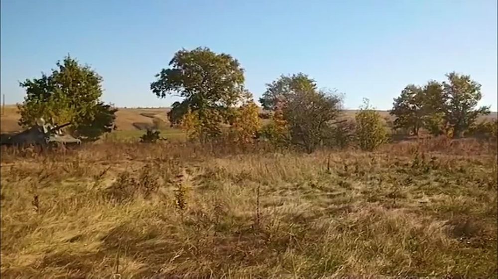 ��������� �����-��ʻ ������� ��������� ������ �������� � ����������