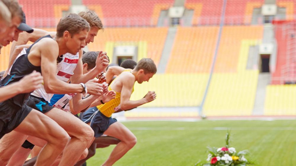 Дмитрий Чернышенко провел совещание по развитию спорта в новых регионах