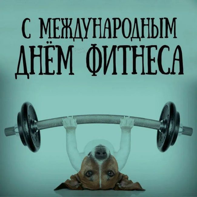 � �ͨ� �������. 11 ������ - ������������� ���� �������