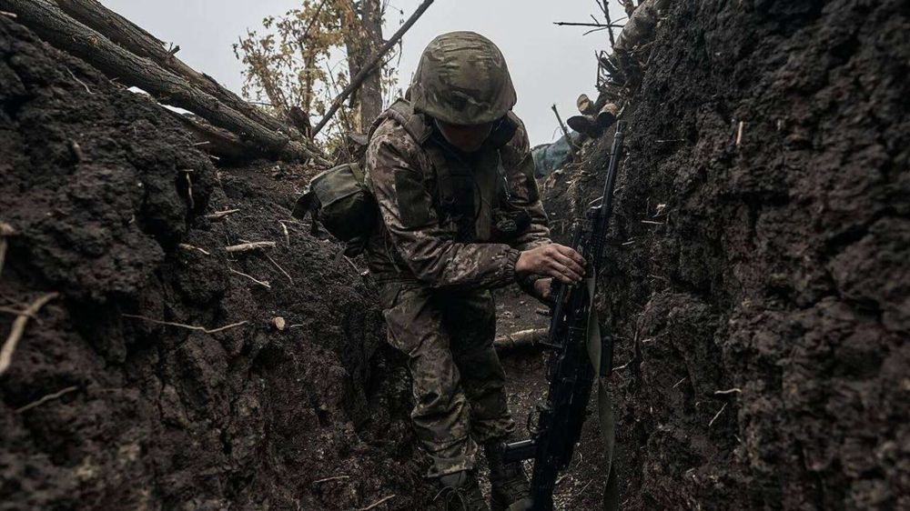 ������ ���������� �����: ��� �������� 665 �������� � 10 ������