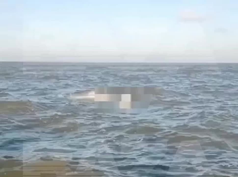 ���������� �������. � ���������� ������� ������ �������� ���� �� ��������� ���� �������� ��������� ����� 10 ������ � ������������ ������ � � 3 �� �� ������ � ���� ����-�����