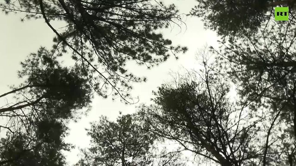 ���� ��� ������� �� ����� ����� ������ � ���������� �������, ����� �� �������� ������ ���� � ������ ����� ����������.