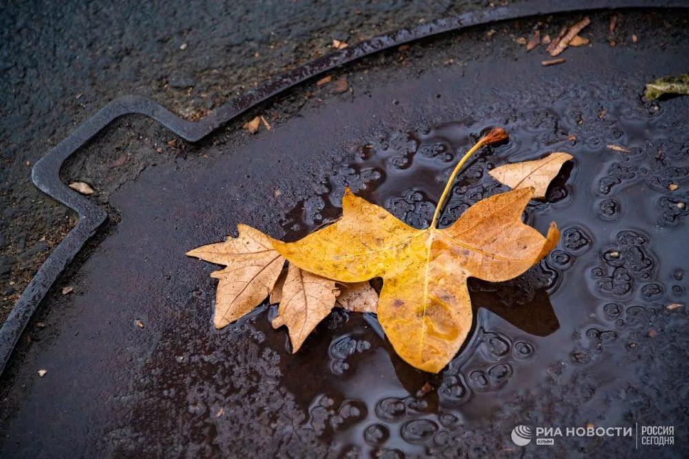 ������ �� ����� ����������� ������