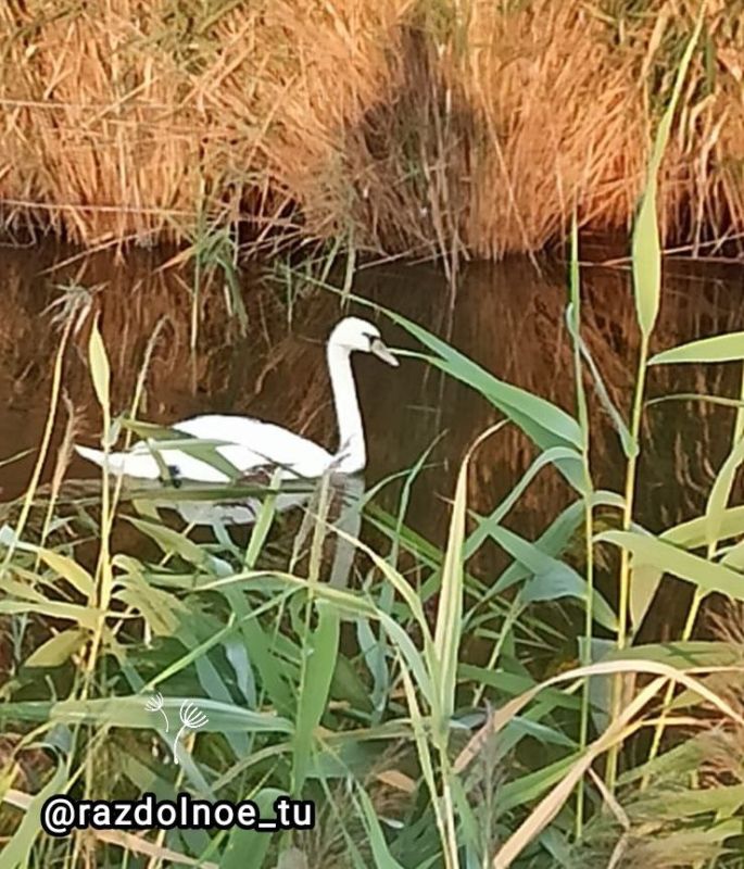 ����������, ������ ����!. ������ ��������� ���� ���� � �������, �������� ��� � ������� � �������� �� ���� �������� ��������