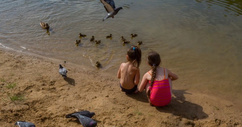 ������ �� ���������� ������� ��������� ����� ������ � ���������-��������