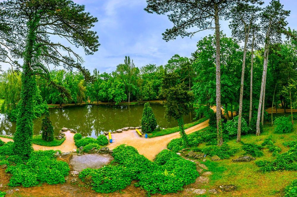 ���������� ��������-���� ������� ��� �������� ������ 2024 ����