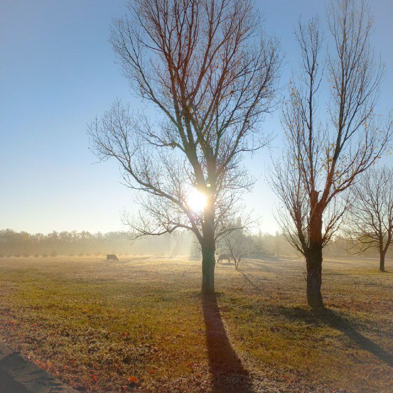 ���������� �� ������ ����� ��������� �������� � ���������