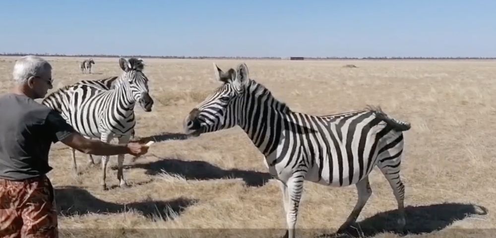 ���������� ��������-���� ��������� ��� �������� ��������� ������