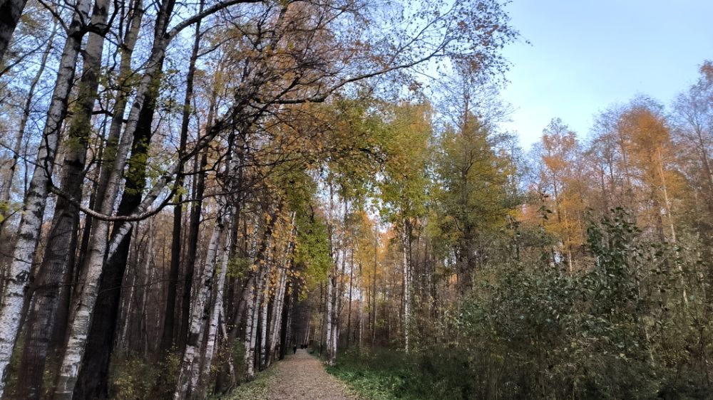 �� �������������� ����� ����� �������� �������� ����� 400 ��������� ������