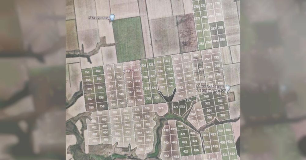 ����������������� ������������� ������ ��������� � ���������� �������