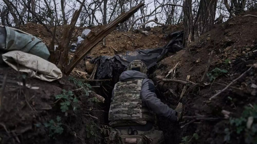 ��� ��������� ����� 100 �������� �� ���������� � ���� ������