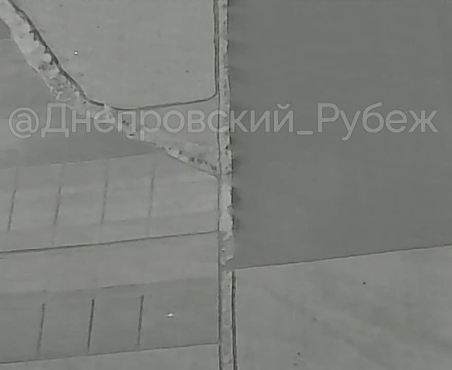 ����������� ����� "�����". ���������� �����������