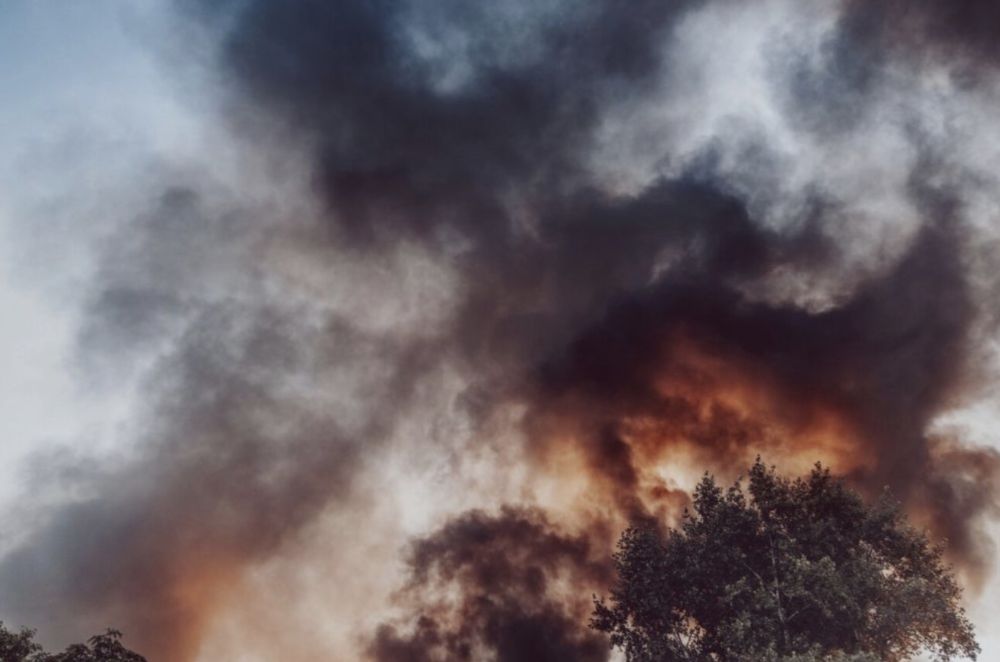 ���������� ������� ��������� ����� 100 �������� �� ��������� ������� �� ����� ������ ���������� �������