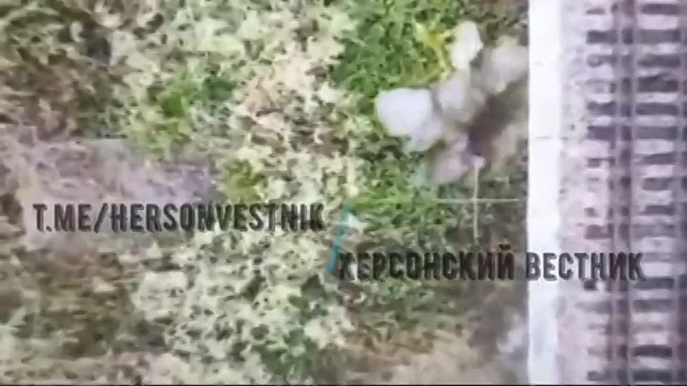 �������������� ����������� ����� ������ ���������� ���������� ���������� ��������, �� ���� ��� � ������ �/� �����