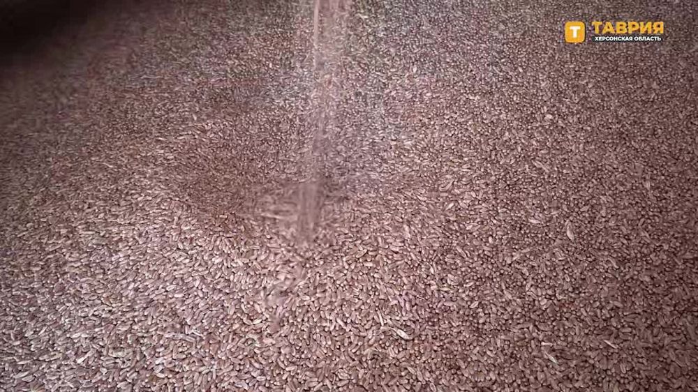 � ���������� ������� ������ ��������, �� ������� ����������� �������� � ����������� �������� ���������������������� � �������