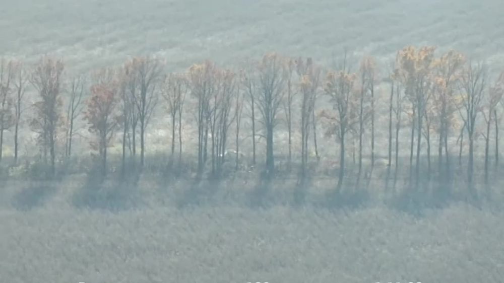 ������� ����� � �����������