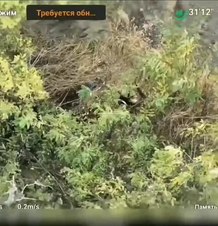 ������� ����� ����������� �������� ���������� ������������ �� ����� �� ����������� ���