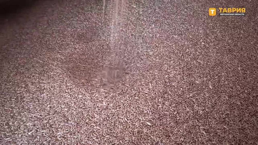 � ���������� ������� ������ ��������, �� ������� ����������� �������� � ����������� �������� ���������������������� � �������