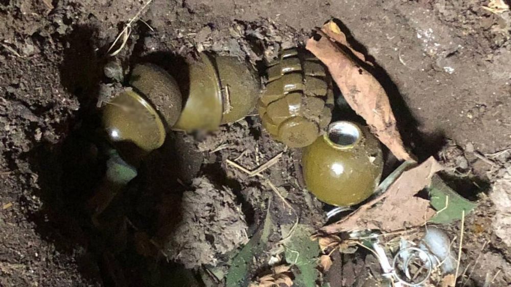 �� ������� ���� ������������ ������������� ������ ��������������� ���������� ����� � ��������� � ���������