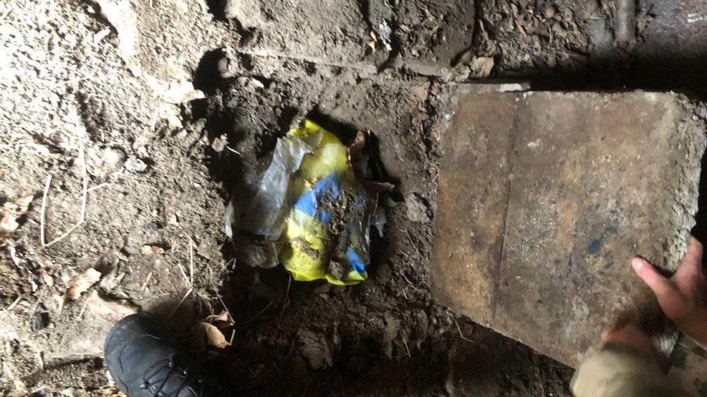 � ������������ ������ ����������� ���������� � ���������� ����� � ������������