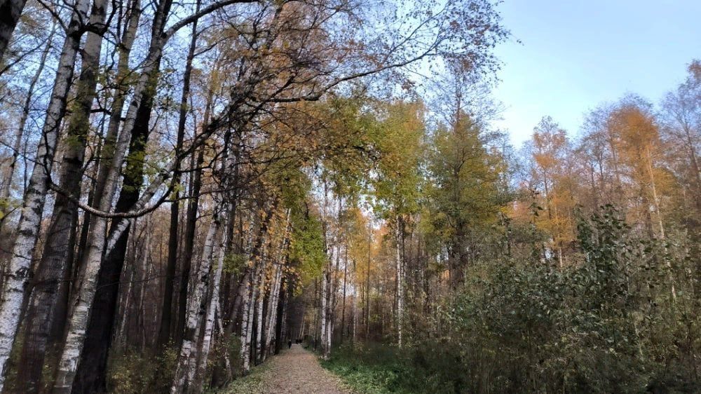 ���, ���, ����������� �������, ���������� �������