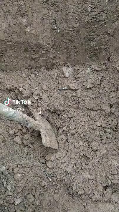 ����� ����� ��������� �� �������, �������� ����� ����� 200