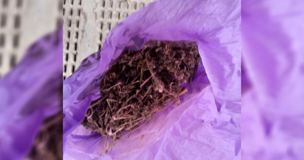 ������ ���� ������������� ������ ������ ��������� � ������� ����