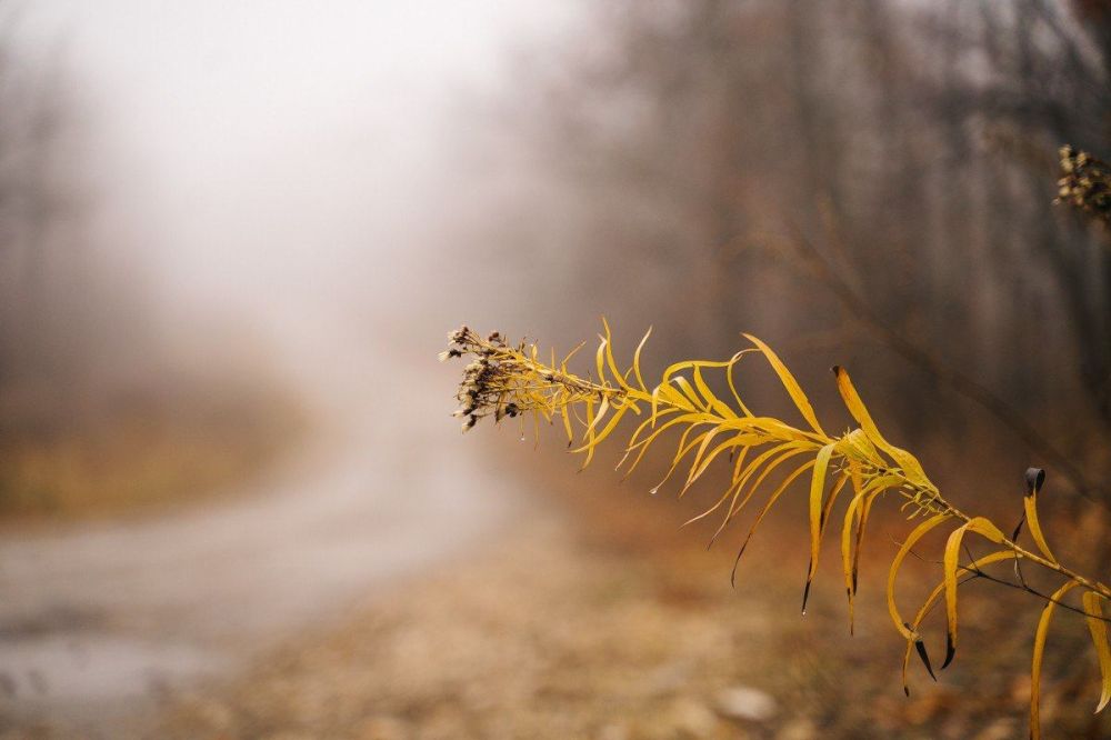 14 ������ � ���������� ������� �� +14� � ��������� �����