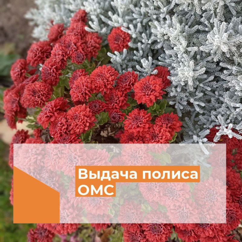 �������� ������� �����������, ������� �������� ��������� �� ���������� ������ ���!