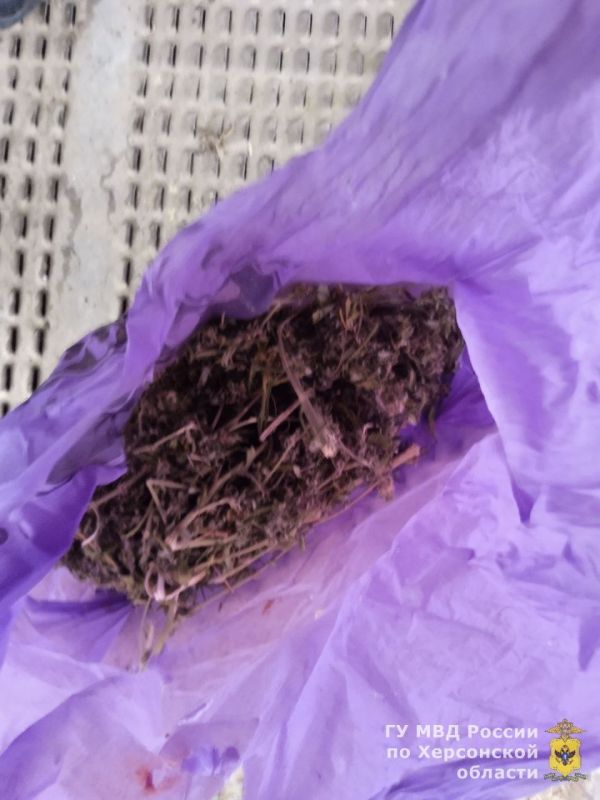 ���������� ������� ���������� � ������ � ������ ������������� ������ ���������