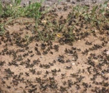 ������������ ������ ���� ����������� �������������������� ����� � ����� ��������