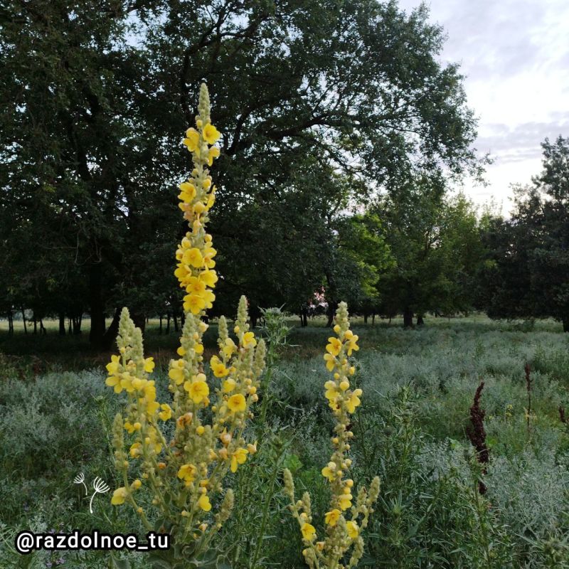 � ������ �����! ����������!