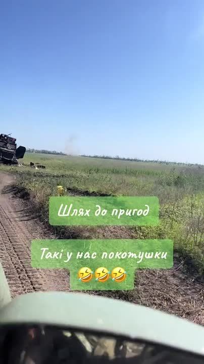 ������������ �� ����������� ����������� ���������� ��������������� International MaxxPro ������������� ������������