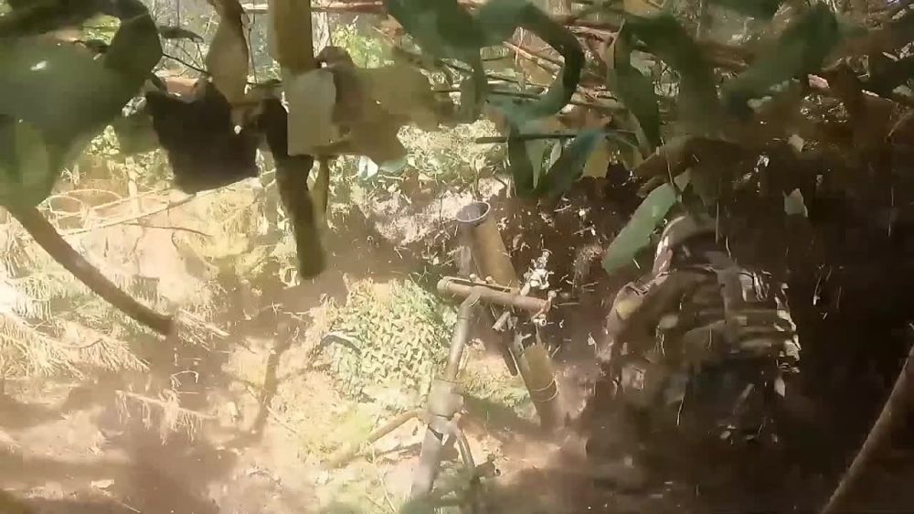 �� ��������� ����� 14 ���� ���� �������� ������ �������� �� ��������� � ��������������� ������������, ��� ���� � �� �������� � ���� � �� ����-��������