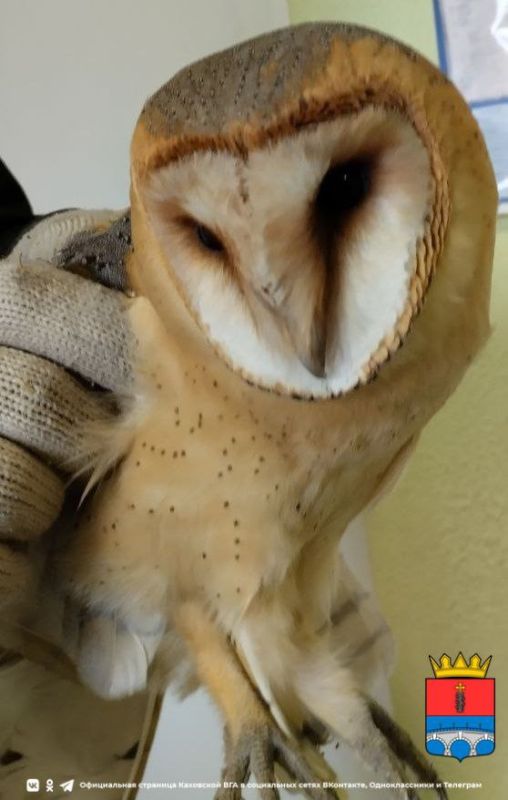 ���� ��������� � ������������� ������������-����������� ��. ������ ����� ��������� � ���� �� ���������� � ����� �� ��������� ������������� �������������