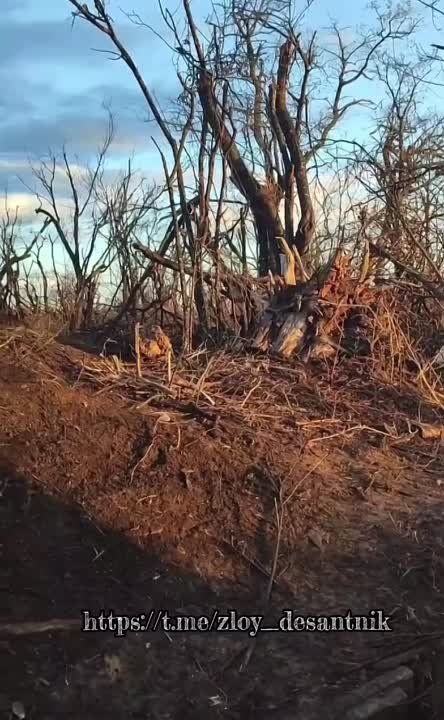 ��������� ���������� ������ �������� � ������ ��������, ����� ���������� ��������� ��������� ���������� � ���������